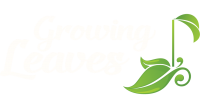 logo3 logo3